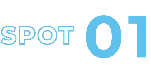 SPOT 01