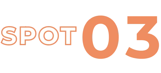 SPOT 03